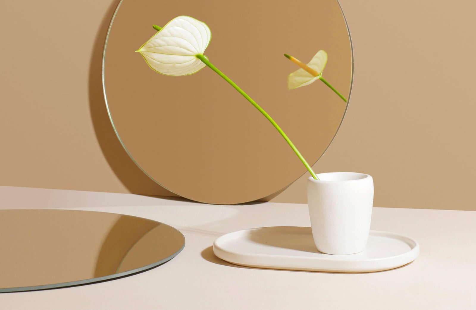 Custom Apps &amp; Booking Systems That Run Themselves